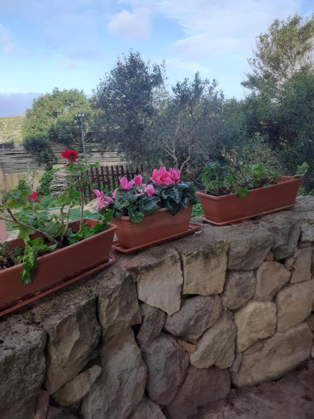 B&B Domus Oriens - Monolocale Indipendente In Villa Portoscuso Εξωτερικό φωτογραφία