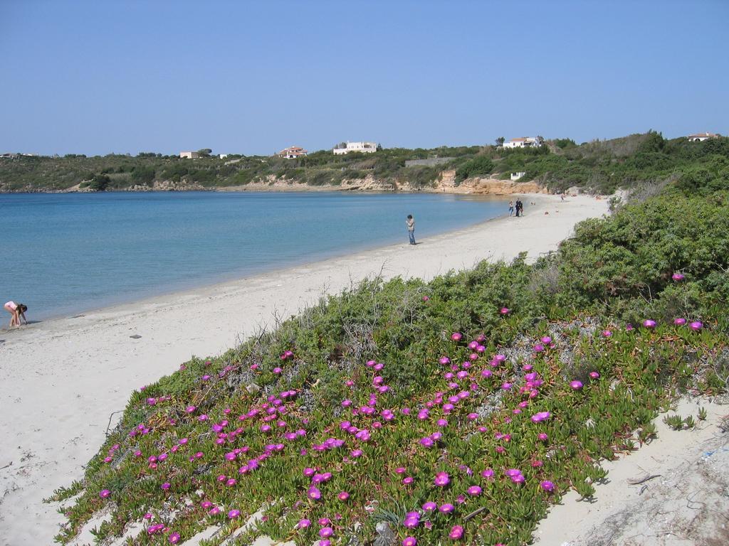 B&B Domus Oriens - Monolocale Indipendente In Villa Portoscuso Εξωτερικό φωτογραφία